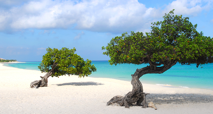 Aruba beach